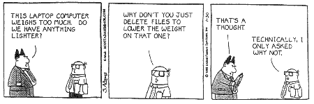 dil5.gif (8327 octets)