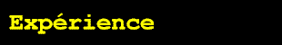 exp�rience.gif (1617 octets)