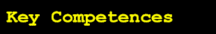 key competences.gif (1828 octets)