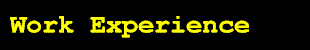 work experience.gif (1836 octets)